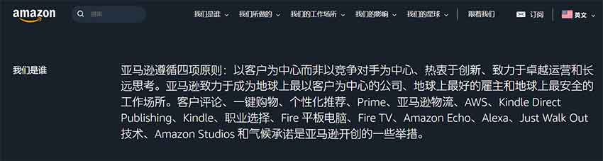 成功公司的愿景-亚马逊-亚马逊致力于成为地球上最以客户为中心的公司、地球上最好的雇主和地球上最安全的工作场所。