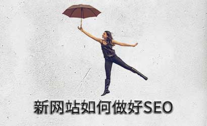 搜索引擎优化实战：新网站如何做好SEO